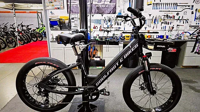 24" SOUL LOW BLACK OPS Electric Bike 750W 48V Ebike SOULFAST