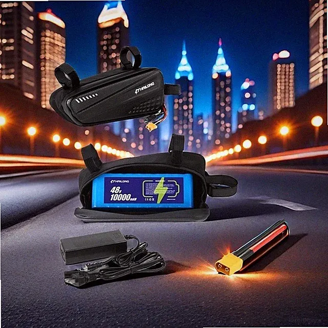 48V 10AH Battery H HAILONG E-Bike Battery Pack with Charger