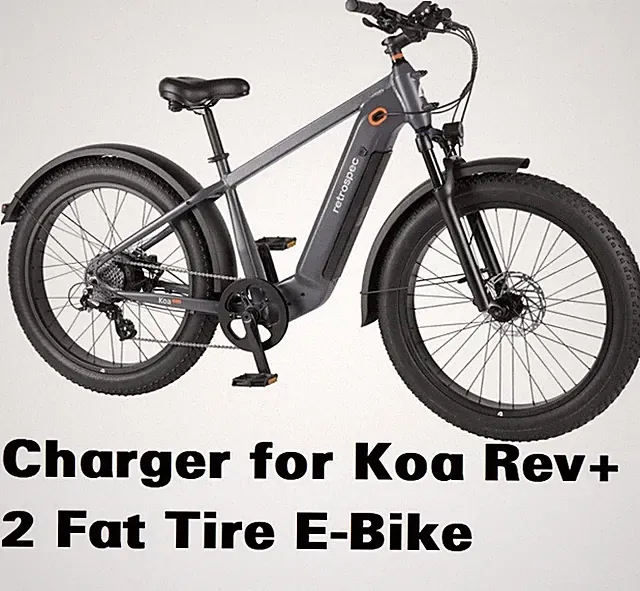 🔥ac adapter 48v 4 pin battery Charger for Retrospec Koa Rev+ 2 Fat Tire E-Bike