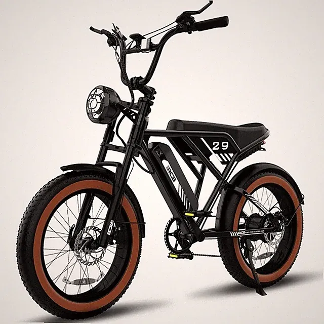 Electric Bike ( I Will Ship It Separate)
