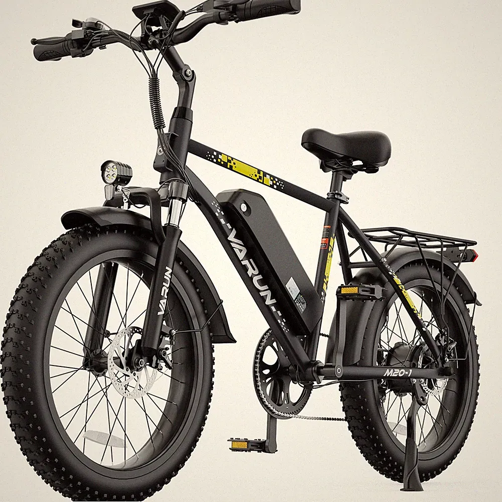 VARUN 20" Electric Bike 48V 13Ah Removable Battery Peak 1000W Fat Tire Ebike